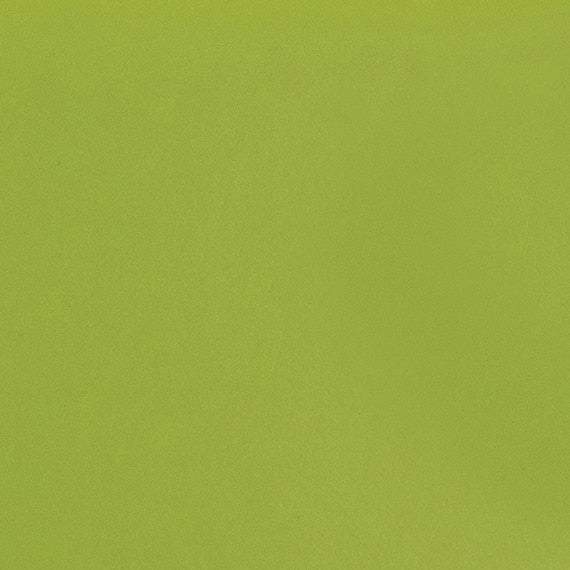 Daltile Natural Hues 12'' x 12'' Matte Kiwi