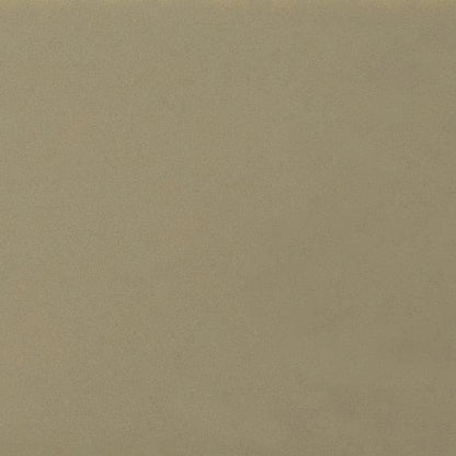 Daltile Natural Hues 12'' x 12'' Matte Birch