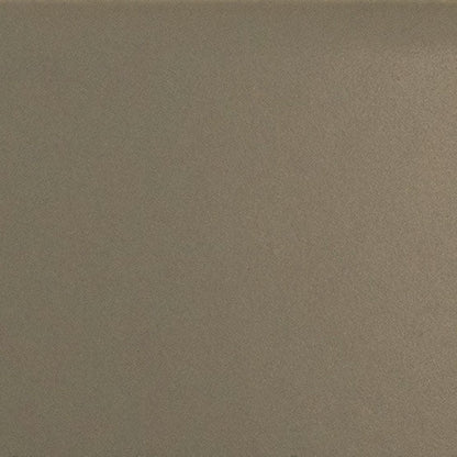 Daltile Color Complements 8" X 24" Matte Matte Mushroom