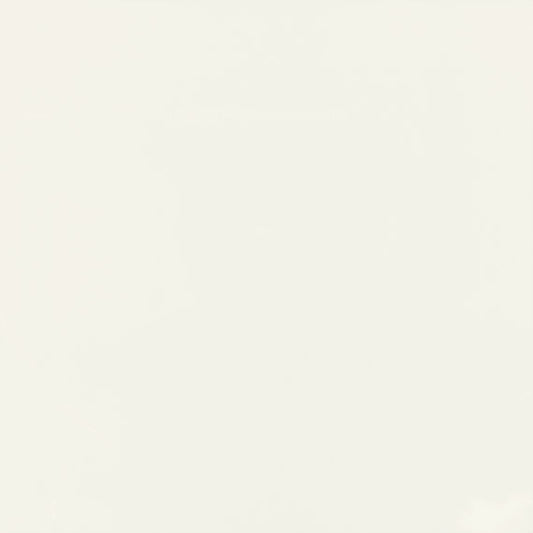 Daltile Pure 24" X 24" Matte Frost White