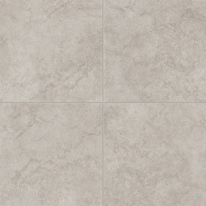 Daltile Choice 12" X 12" Square Matte Casper