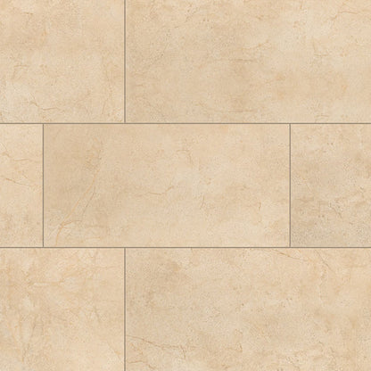 MS International Aria 24" x 48" Polished Cremita