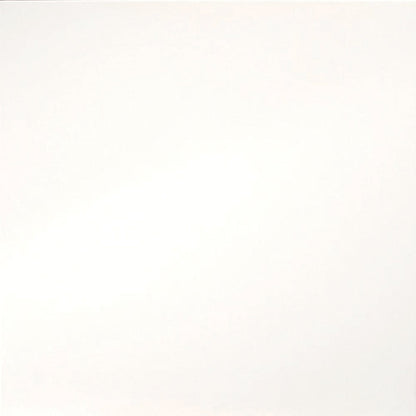 Emser Times Square 24"x24" Polished White