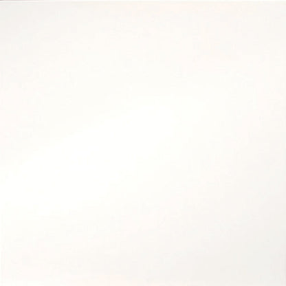 Emser Times Square 24"x24" Matte White