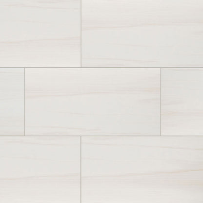 MS International Eden 12" x 24" Matte Dolomite