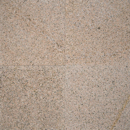 MS International Natural Stone Granite 12" x 12" Polished Giallo Fantasia