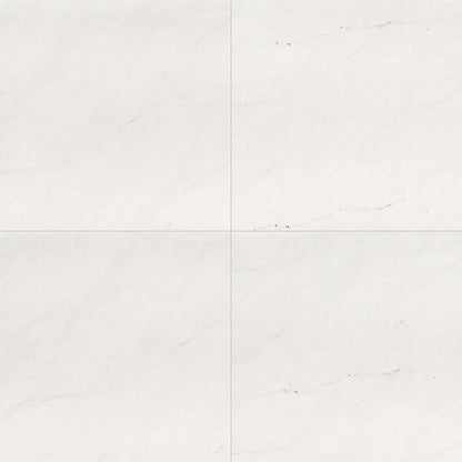 MS International Aria 24" x 24" Polished Ice