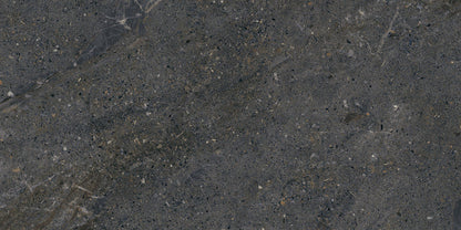 Emser Terramor 12"x24" Honed Nero