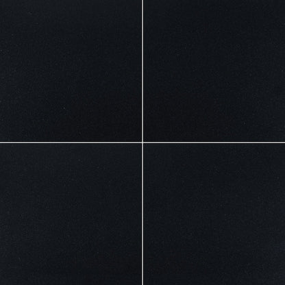 MS International Natural Stone Granite 12" x 12" Polished Premium Black